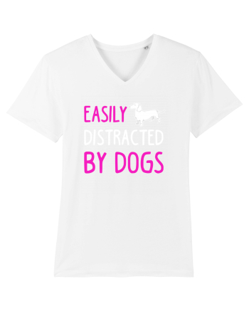 DOGS White