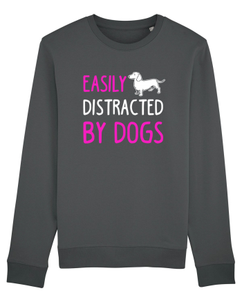DOGS Anthracite