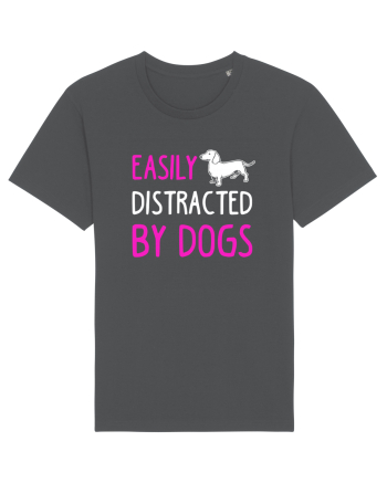 DOGS Anthracite