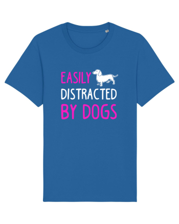 DOGS Royal Blue