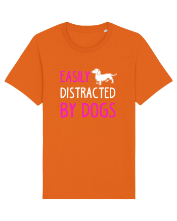 DOGS Bright Orange