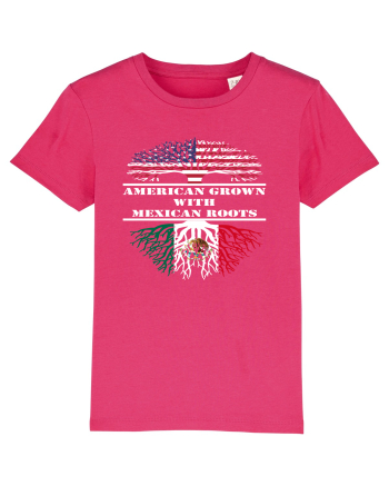 AMERICAN MEXICAN Raspberry