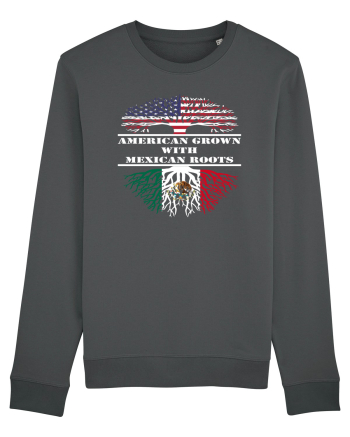 AMERICAN MEXICAN Anthracite