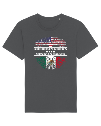 AMERICAN MEXICAN Anthracite
