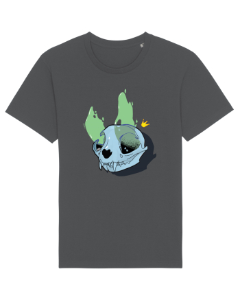Cat skull on fire Anthracite