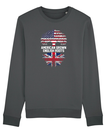 AMERICAN Anthracite