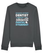 DENTAL HYGIENIST Bluză mânecă lungă Unisex Rise