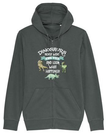 DINOSAURS Anthracite