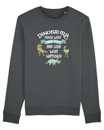 DINOSAURS Anthracite