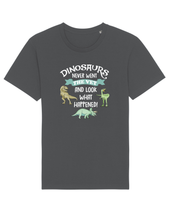 DINOSAURS Anthracite