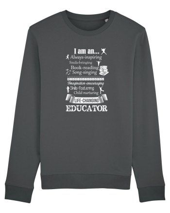 EDUCATOR Anthracite