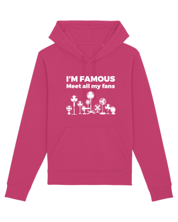 FANS Raspberry