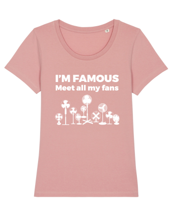 FANS Canyon Pink