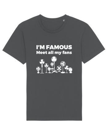 FANS Anthracite