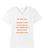 FISHING Tricou mânecă scurtă guler V Bărbat Presenter