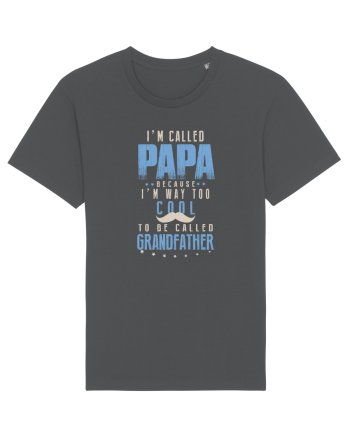 PAPA Anthracite