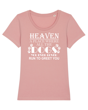DOGS Canyon Pink