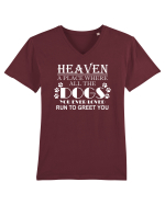 DOGS Tricou mânecă scurtă guler V Bărbat Presenter