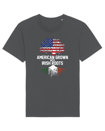 AMERICAN IRISH Anthracite