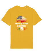 AMERICAN IRISH Tricou mânecă scurtă Unisex Rocker