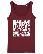 LABRADOR Maiou Damă Dreamer