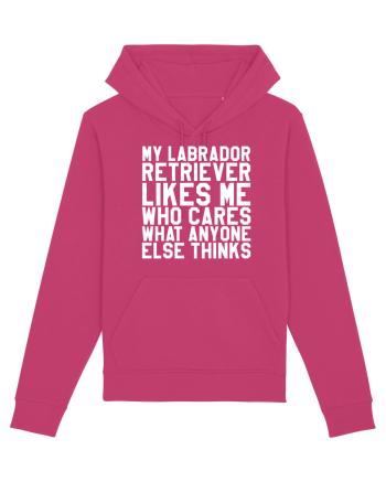 LABRADOR Raspberry