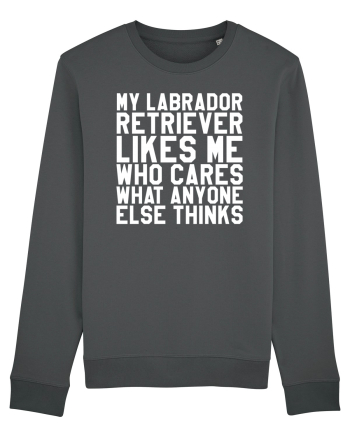 LABRADOR Anthracite