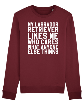 LABRADOR Burgundy