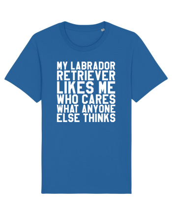 LABRADOR Royal Blue