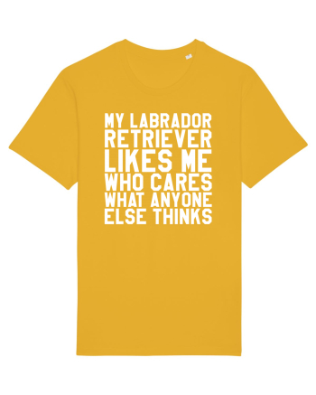 LABRADOR Spectra Yellow