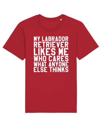 LABRADOR Red