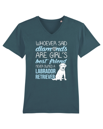 LABRADOR Stargazer