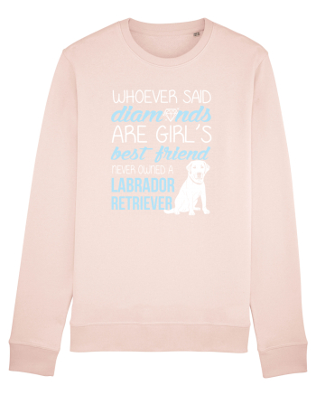 LABRADOR Candy Pink