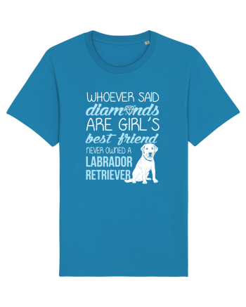 LABRADOR Azur