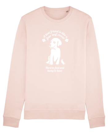 DOG Candy Pink