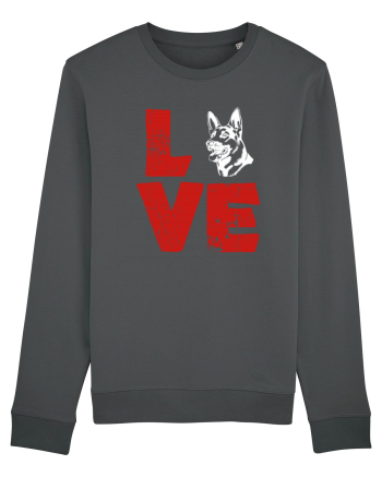 DOG Anthracite