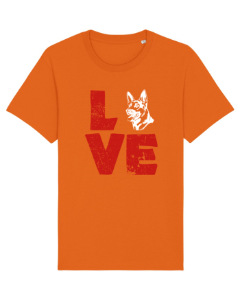 DOG Bright Orange