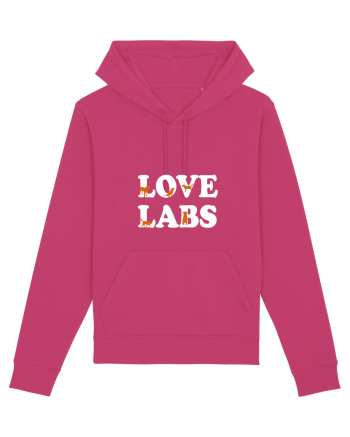 LABRADOR Raspberry