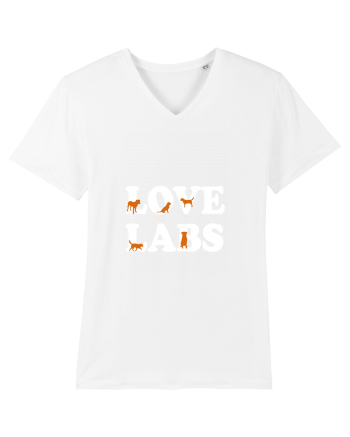 LABRADOR White