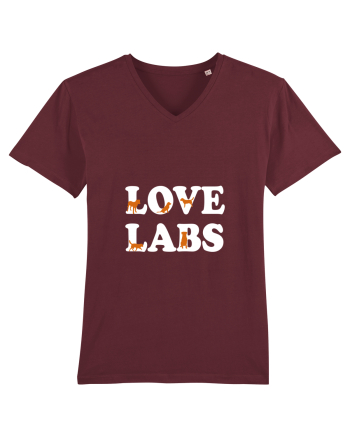LABRADOR Burgundy