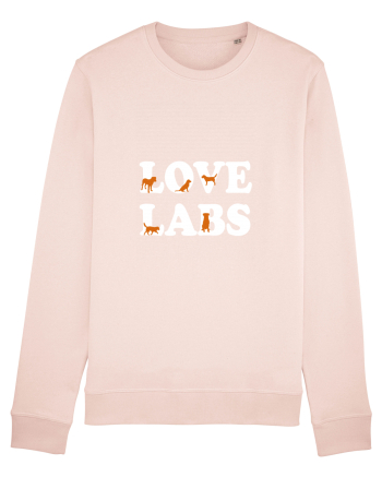 LABRADOR Candy Pink