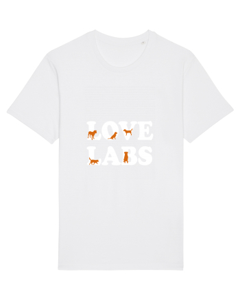 LABRADOR White