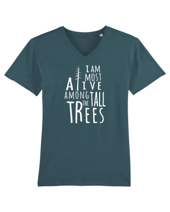 TREES Stargazer