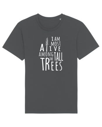 TREES Anthracite
