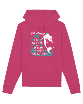 MERMAID Raspberry