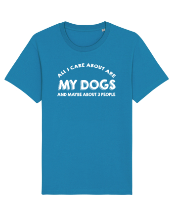 DOGS Azur