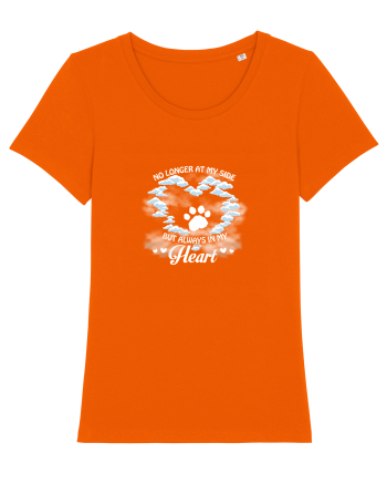 PET Bright Orange