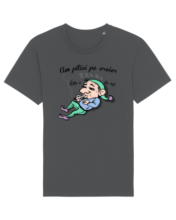 Pitici pe creier - Piticul leneș Anthracite