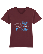 PIT BULL  Tricou mânecă scurtă guler V Bărbat Presenter