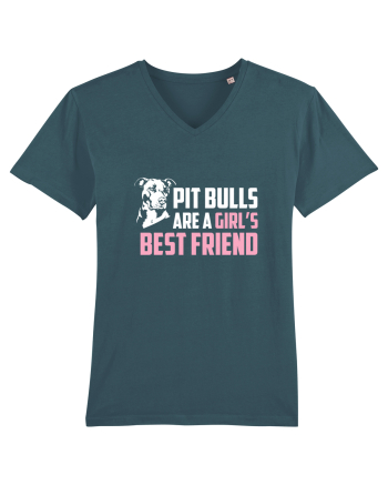 PIT BULL  Stargazer